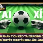 Cách Phân Tích Kèo Tài Xỉu Đỉnh Cao - Bí Quyết Chuyên Gia Lão Làng