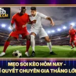 Mẹo Soi Kèo Hôm Nay - Bí Quyết Chuyên Gia Thắng Lớn