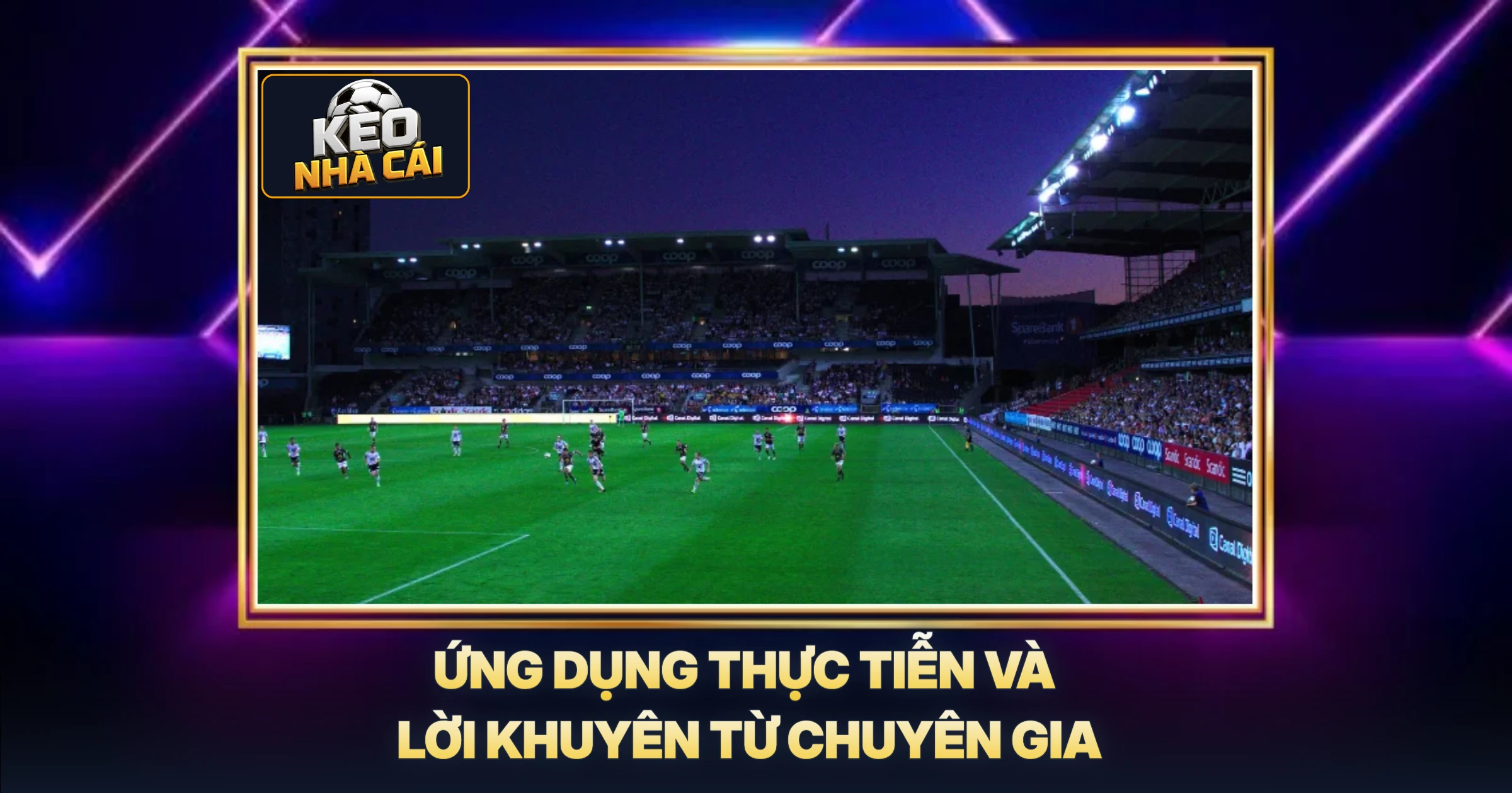 Ứng Dụng Thực Tiễn và Lời Khuyên Từ Chuyên Gia